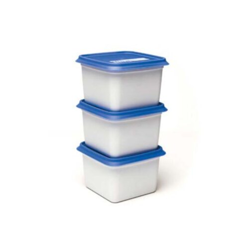 Day To Day Diepvriesbak set 3x750ml Alaska