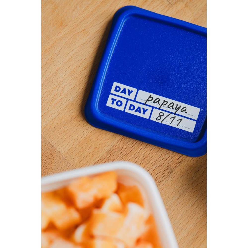 Day To Day Diepvriesbak set 3x750ml Alaska - Afbeelding 2