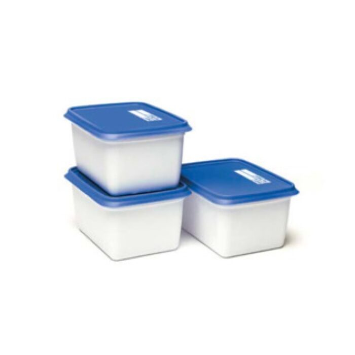 Day To Day Diepvriesbak set 3x1000ml Alaska