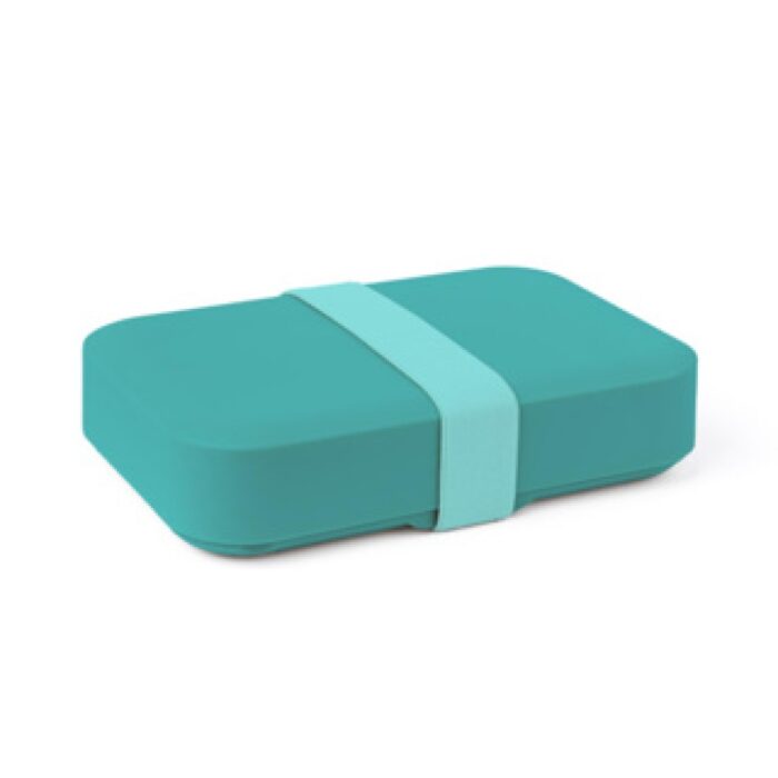 Day To Day Lunchbox large 1100ml reef