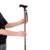 Vitility wandelstok opvouwbaar brons