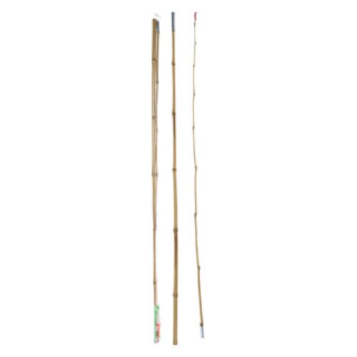 Hengel bamboe 200 cm