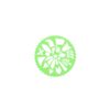 Creafun spirograph set 15 delig