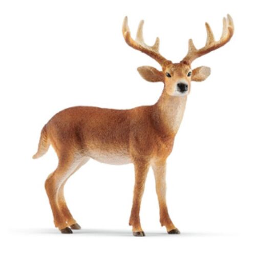 Schleich 14818 White-Tailed Buck