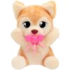 Baby Paws Yummy Shiba Inu