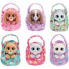Baby Paws Mini's tiny Assorted (assortiment – willekeurige uitvoering)