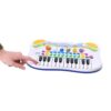 Dieren Piano Met Opneem Functie