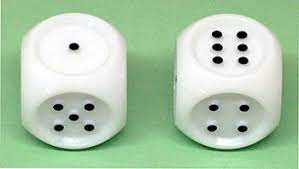 Tactile Dice White (2 stuks)