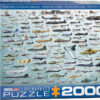 Evolution of Military Aircraft (2000)
