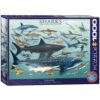 Sharks (1000)