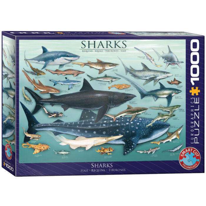 Sharks (1000)