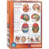 The Brain (1000)