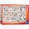 The World of Cats (1000)