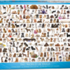 The World of Dogs (1000)