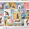 Yoga Cats (1000)