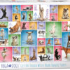 Yoga Dogs (1000)