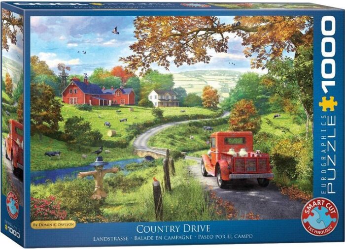 The Country Drive - Dominic Davison
