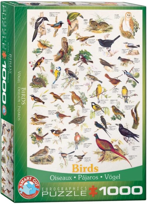 Birds (1000)