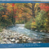 Forest Stream (1000)