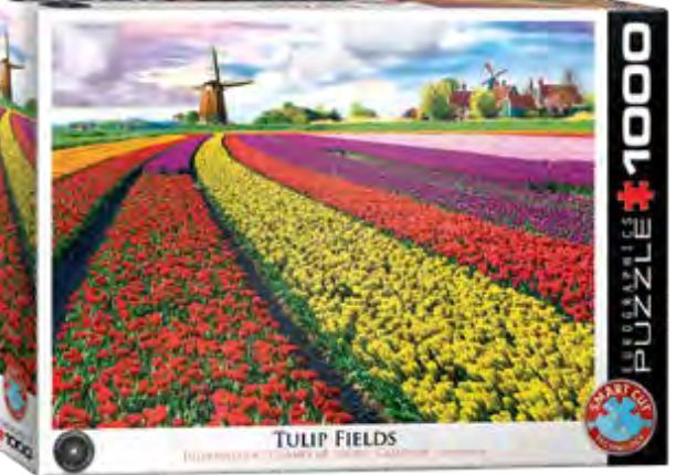 Tulip Fields Netherlands (1000)
