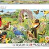 Garden Birds - Greg Giordano Panorama