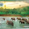 Save the Planet! Rain Forest (1000)
