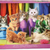 Kitten Pride (1000)
