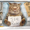 Felony Cat - Paul Normand (500)