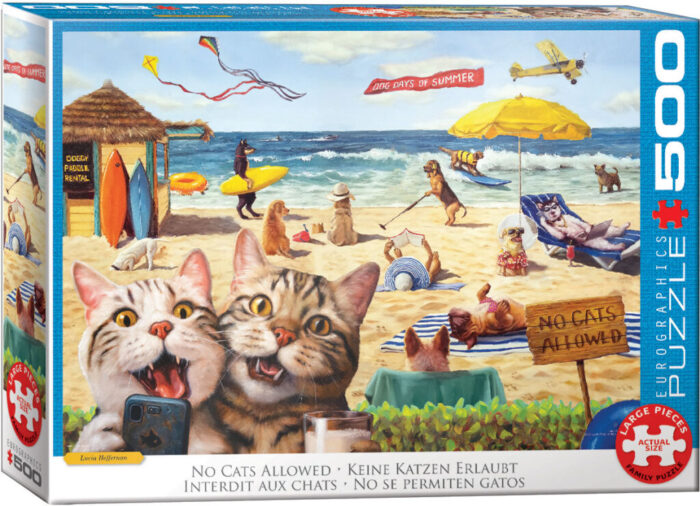 No Cats Allowed by Lucia Heffernan (500)