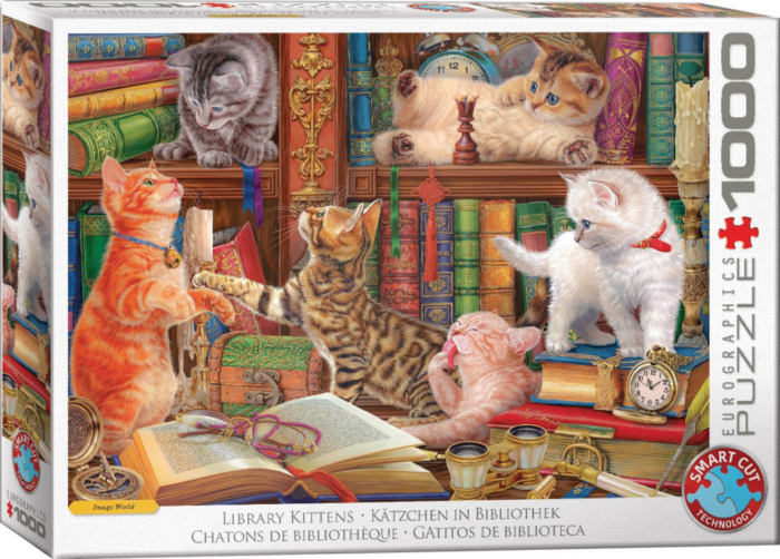 Library Kittens by Image World (1000)