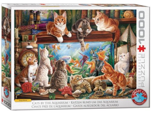 Cats by Aquarium (1000)