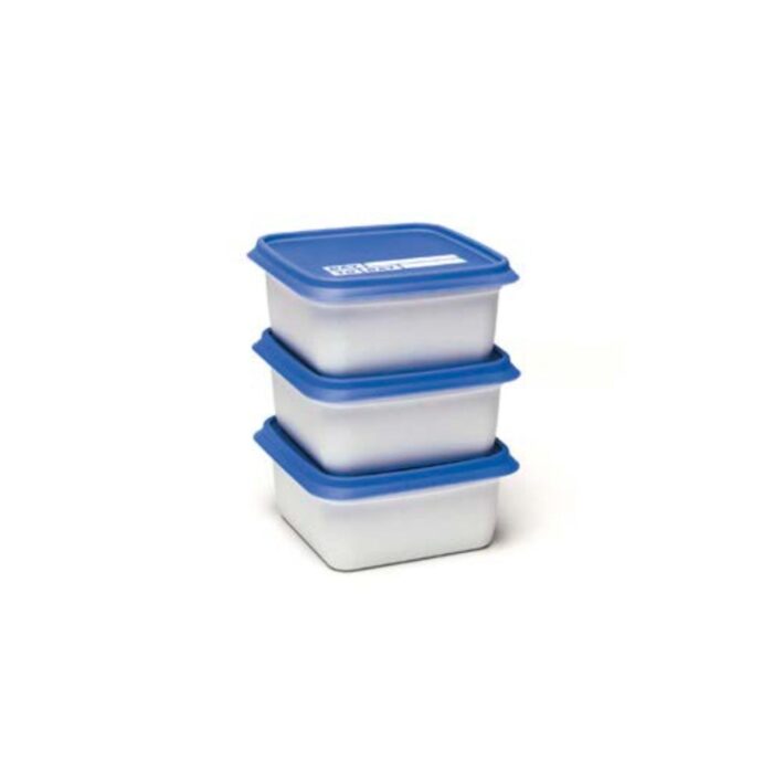 Day To Day Diepvriesbak set 3x500ml Alaska