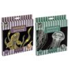 Diamond painting velvet canvas crystal 2 assorti (assortiment – willekeurige uitvoering)