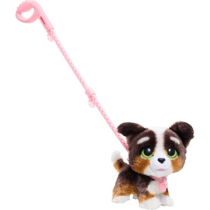 Furreal walk a lots Bernedoodle