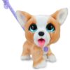 Furreal poop a lots Corgi