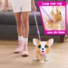 Furreal poop a lots Corgi