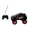 Radiografisch bestuurbare Rally truck 1:16 B/O
