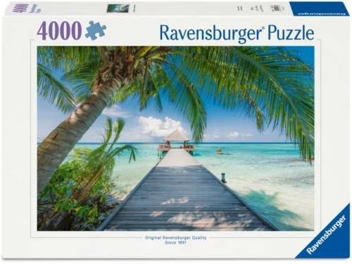 Dream Beach on the Malededives (4000)