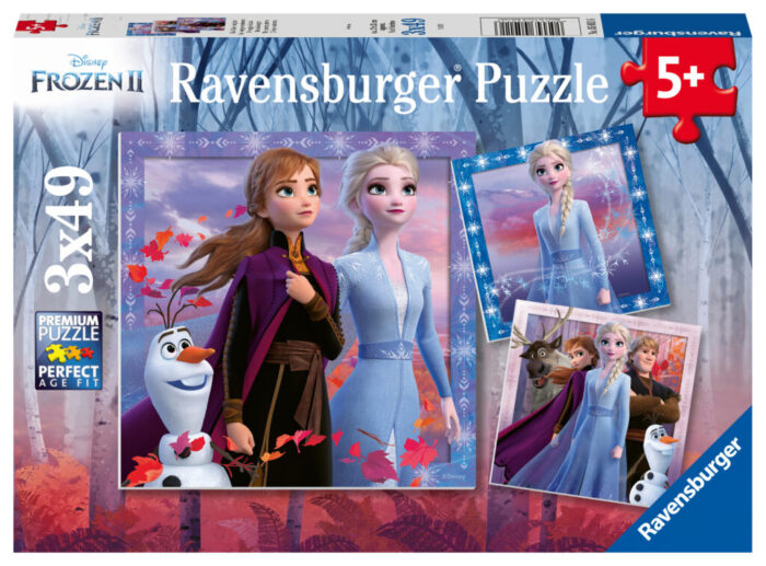 Disney Frozen 2 - De Reis Begint