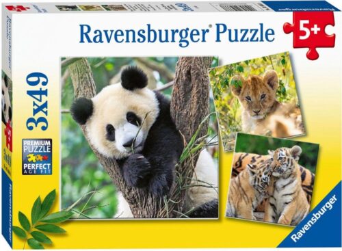 Panda, Tijger en Leeuw (3x49)