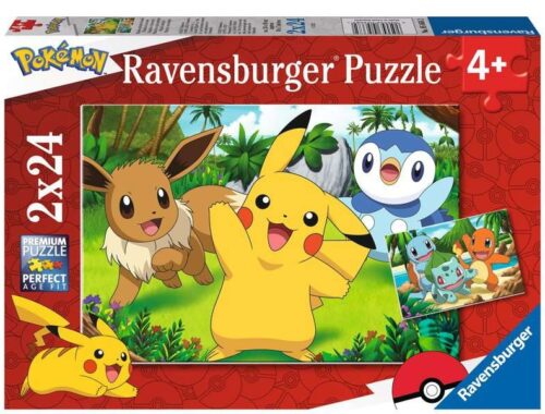 Pikachu en Zijn Vrienden / Pokémon (2 x