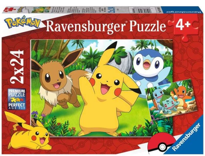 Pikachu en Zijn Vrienden / Pokémon (2 x