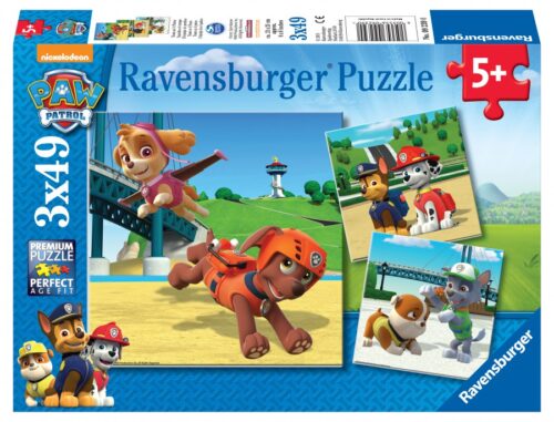 Paw Patrol Team op 4 Poten (3x49)