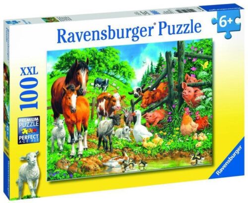 Dierenbijeenkomst (100XXL)