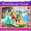Disney Princess - Durf te Dromen (100