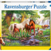 Wilde Paarden bij de Rivier (300XXL)