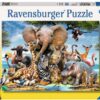 Afrikaanse vrienden (300XXL)