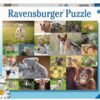 Schattige Babydieren (200XXL)