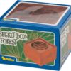 Secret Box Forest