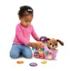 Vtech Baby Reis & Leer Puppytas